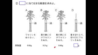 蒸散量の計算問題