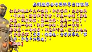 金剛經(濟公活佛師尊)白話註解第32集一合理相分第三十