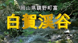 【癒し】白賀渓谷　岡山県苫田郡鏡野町富の渓谷の清流★★