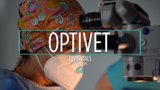 ezyVet Customer Stories - Optivet Referrals