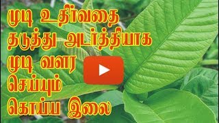 ஒரு வாரத்தில்  முடி உதிர்வதை தடுத்து அடர்த்தியாக வளர  செய்ங்க