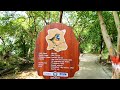 okhla bird sanctuary delhi bird sanctuary delhi timing bird sancturary okhla ticket price