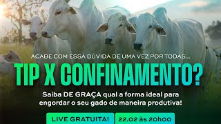 QUAL O MELHOR MODO PARA ENGORDAR O GADO? TIP x CONFINAMENTO?