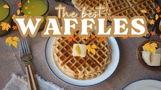 Easy Waffle Recipe 🍁 Recipe On Screen!