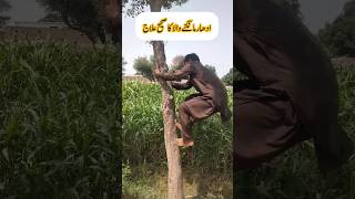 udhar mangnay walay ka elajj#trending #funny #new #viral #reels #comedy