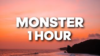 Monster - Shawn Mendes ft. Justin Bieber (1 HOUR)