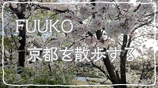 【週末vlog】京都鴨川沿いの桜を楽しむお散歩