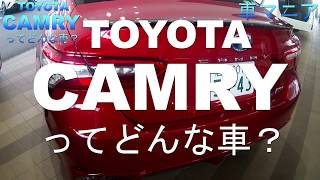 トヨタ カムリ  内外装 TOYOTA CAMRY かっこよすぎるパーフェクトセダン見てきました