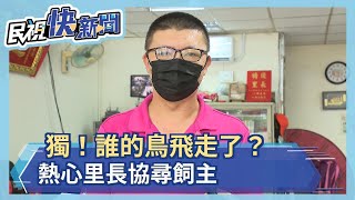 里長工作包山包海 鸚鵡走失也找里長－民視新聞