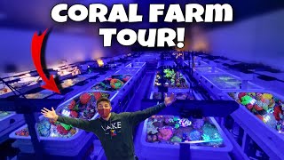 TOURING The LARGEST EXOTIC CORAL FARM In The WORLD!! *Crazy*