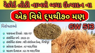 સૌથી વધુ ઉત્પાદન આપતી ધવની વેરાયટી GW513 |ધવની નવી જાત |new verayti ghav gw513