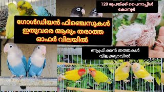 ഗോൾഡിയൻ ഫിഞ്ചെസുകൾ ഇതുവരെ ആരും തരാത്ത ഓഫർ വിലയിൽ