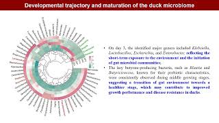 iMeta Duck gut microbiome linked to intestinal regional, temporal development, and rearing condition