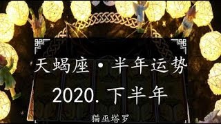 猫巫塔罗：天蝎座2020-下半年运势，处于焦虑状态，静静等待