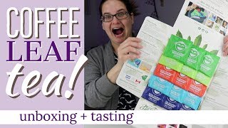 Wize Monkey (coffee leaf tea) unboxing + tasting review!