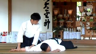 Aikido Ueshiba Mitsuteru Waka Sensei 2016