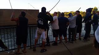 Combat fishing on the American river