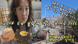 [맹추♥Vlog]★40대 주부 소소한 일상 이야기★벚꽃으로 활력 되찾기 ,수육해먹기,재취업 성공#일상브이로그 #주부브이로그 #요리브이로그