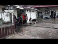 teknik melapah oleh sifu shuib