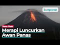 Gunung Merapi Luncurkan Awan Panas Sejauh 1,3 Km dan 31 Guguran Lava Pijar