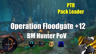 PTR Testing +12 Operation Floodgate BM Hunter PoV