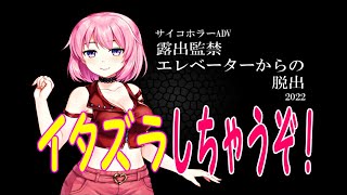 【露出監禁エレベーターからの脱出】逮捕までの秒読み感がすごい！