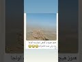 تا حالا هیچ بز کوهی ننوسته اونجا بره، چطور امامزاده ساختن 😂