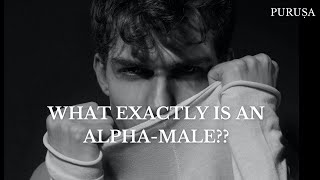 What exactly is an ALPHA MALE ?