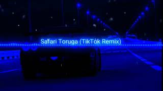 Safari-Tortuga(TikTok_cover_remix)просто пушка🔥