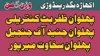 اکھاڑہ بگدر پنڈوڑی ضلع جہلم پہلوان ظفر بٹ پہلوان جنید کنتریلی وزن 5من#jhelumsports786 #news #jhelum