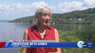 New study could help predict and prevent harmful algal blooms
