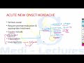 headache types causes approach management harrison