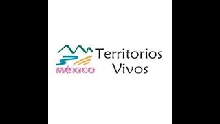 Primeros proyectos de Asociación Territorios Vivos México en La reserva de la Biosfera Los Petenes