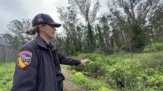 🔥 Wildfire Mitigation: The Saddle Loop Project