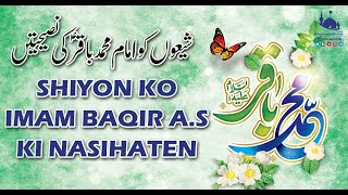 SHIYON KO IMAM MOHAMMAD BAQIR AS KI NASIHATEN | IMAM BAQIR | SHIA | IMAM REZA SHRINE | MASHHAD