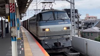 JR貨物EF66形100番台126号機＋コキ24B（両）が北朝霞駅1番線を高速通過するシーン（74レ・吹A15・コンテナ輸送）2022.8.28