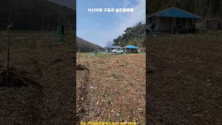 충남서산 야산아래 4263m²(1290평)미등기구옥과 넓은텃밭,상수도와지하수