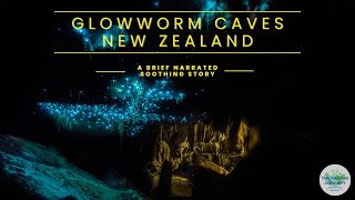 A short story to relax while travelling - The Glowworm Caves of Waitomo