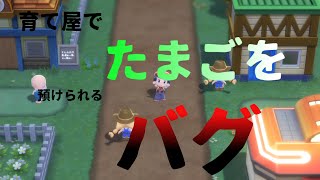 【ポケモンダイパリメイク】【ポケモンBDSP】育て屋でたまごが預けられるバグ