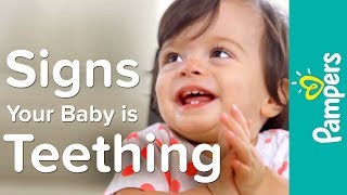 Baby Teething Symptoms, Signs \u0026 Timeline | Pampers Teething Tips