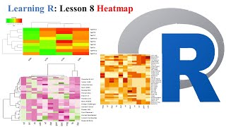 Lesson 8 heatmap| statistical analysis in R basic