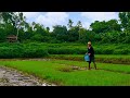 FARMING RICE from seed to plant | A life of a farmer | Pangasinan, Philippines