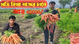 প্রতি বিঘা গাজর চাষে আয় ৪০০০০/ carrot farming in West Bengal/ carrot farming