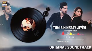 Tum Bin Kesay Jiyen - OST | Audio 🎧 | Raafay Israr | ARY Digital