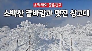 소백산 눈꽃칼바람 11월 29일