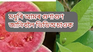 বতৰ‌ ফল মধুৰি আমৰ  ঔষধি গুণ উপকাৰিতা সম্বন্ধে জানিবলৈ