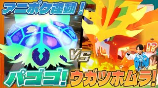 【アニポケ連動】「パゴゴ（リコのテラパゴス）」で六英雄ポケモン「ウガツホムラ」に挑戦！【4だん】#ポケモン #フレンダ #アニポケ