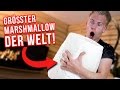 GRÖßTER Marshmallow der WELT ! / 20 KILO 😱 II RayFox