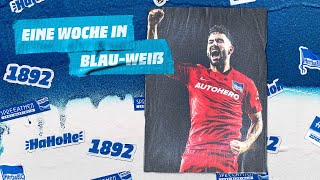 HaHoHe - Eine Woche in Blau-Weiß | 10.Spieltag | TSG 1899 Hoffenheim vs. Hertha BSC