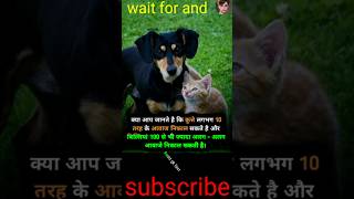 क्या आप जानते है कि कुत्ते लगभग 10 तरह के आवाज निकाल सकते है#facts#trending#tiktok#shorts#short#vira